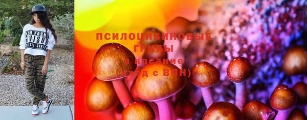 мет Елизово