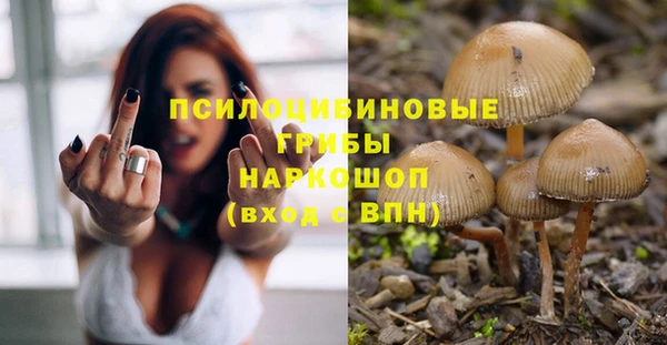 ECSTASY Елабуга