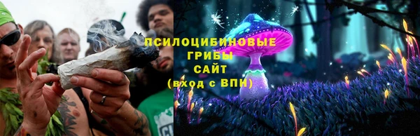ECSTASY Елабуга